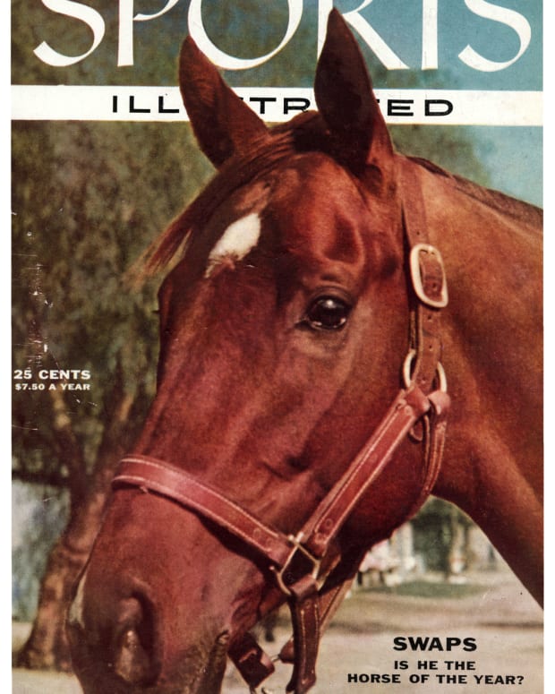 42666 - Cover Image